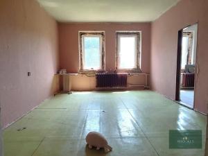 Prodej rodinného domu, Nová Ves, 250 m2