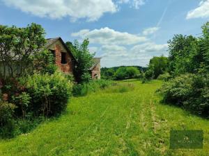 Prodej rodinného domu, Nová Ves, 250 m2