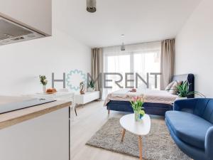 Pronájem bytu 1+kk, Praha - Žižkov, Šrámkové, 29 m2