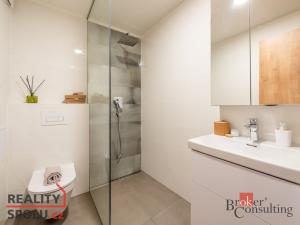 Pronájem bytu 2+kk, Praha - Holešovice, Malá Plynární, 92 m2