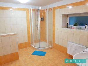 Pronájem bytu 2+1, Olomouc, Lidická, 65 m2