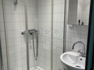 Pronájem bytu 1+kk, Praha - Vinohrady, Šrobárova, 20 m2