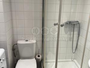 Pronájem bytu 1+kk, Praha - Vinohrady, Šrobárova, 20 m2