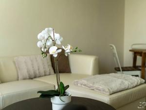 Pronájem bytu 2+kk, Praha - Bohnice, Poznaňská, 55 m2