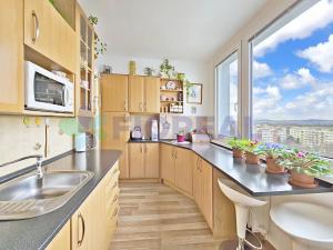 Pronájem bytu 1+1, Kolín, Na Magistrále, 36 m2