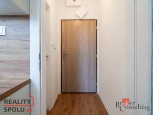 Pronájem bytu 1+kk, Ostrava - Přívoz, Palackého, 21 m2