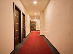 Pronájem kanceláře, Praha - Kunratice, Jana Růžičky, 36 m2