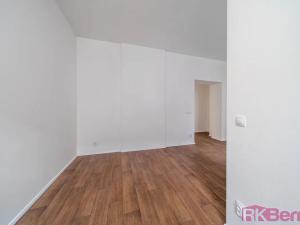 Pronájem bytu 1+kk, Brno, Spolková, 49 m2