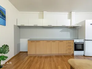 Prodej bytu 2+kk, Opava - Kateřinky, Hálkova, 60 m2