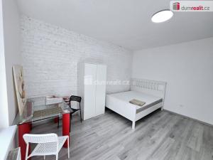 Pronájem bytu 1+kk, Lužná, Nová, 17 m2