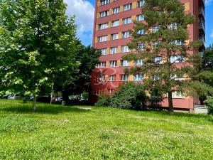 Pronájem bytu 2+kk, Ostrava, Nedbalova, 50 m2