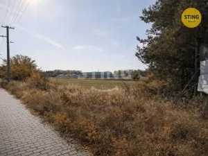 Prodej pozemku pro bydlení, Moravský Písek, 874 m2