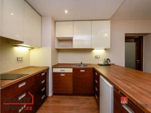 Pronájem bytu 2+kk, Plzeň - Jižní Předměstí, U Borského parku, 52 m2