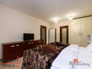 Pronájem bytu 2+kk, Plzeň - Jižní Předměstí, U Borského parku, 52 m2
