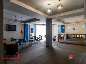 Pronájem bytu 2+kk, Plzeň - Jižní Předměstí, U Borského parku, 52 m2