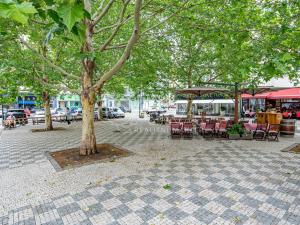Pronájem bytu 1+1, Praha - Nové Město, Truhlářská, 42 m2