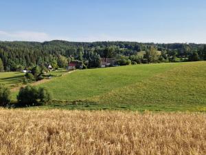 Prodej chalupy, Horní Olešnice - Ždírnice, 104 m2