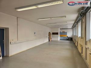 Pronájem výrobních prostor, Dolní Kalná, 1500 m2