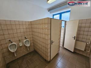 Pronájem výrobních prostor, Dolní Kalná, 1500 m2