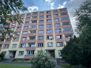 Pronájem bytu 2+1, Cheb, Svobody, 55 m2