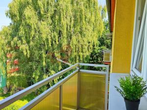 Prodej bytu 3+1, Nový Jičín, Mendelova, 57 m2