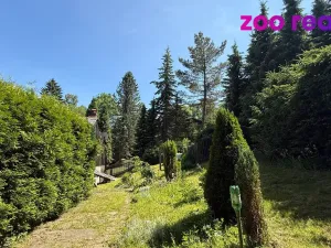 Prodej chalupy, Vejprty, Husova, 200 m2