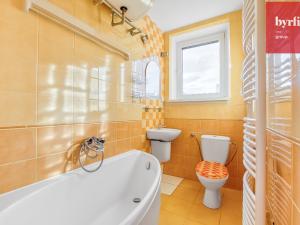 Pronájem bytu 1+kk, Ostrava - Moravská Ostrava, Puchmajerova, 34 m2