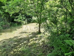 Prodej chaty, Bystřice, 24 m2