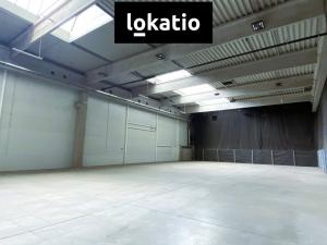 Pronájem skladu, Ostrava, 711 m2