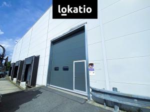 Pronájem skladu, Ostrava, 711 m2