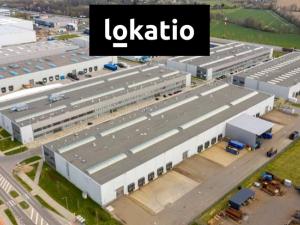 Pronájem skladu, Ostrava, 3682 m2