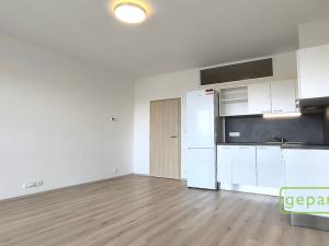 Pronájem bytu 1+kk, Brno - Židenice, Gajdošova, 47 m2