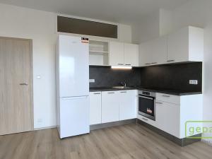 Pronájem bytu 1+kk, Brno - Židenice, Gajdošova, 47 m2