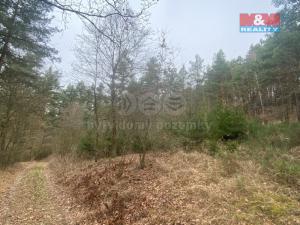 Prodej lesa, Miloňovice - Sudkovice, 2768 m2