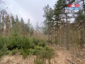 Prodej lesa, Miloňovice - Sudkovice, 2768 m2