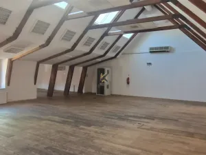 Pronájem kanceláře, Praha, Myslíkova, 424 m2