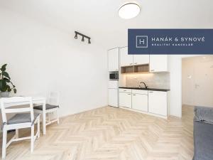 Pronájem bytu 1+kk, Brno, Cejl, 29 m2