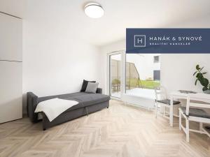 Pronájem bytu 1+kk, Brno, Cejl, 29 m2