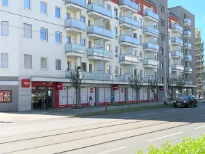 Pronájem bytu 1+kk, Olomouc, Wolkerova, 30 m2