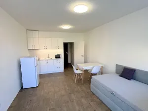 Pronájem bytu 1+kk, Olomouc, Wolkerova, 30 m2