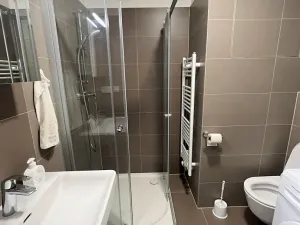 Pronájem bytu 1+kk, Olomouc, Wolkerova, 30 m2