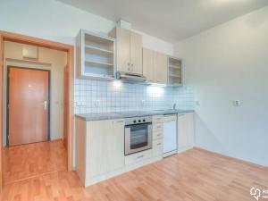 Pronájem bytu 1+kk, Olomouc, Na Tabulovém vrchu, 42 m2
