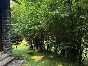 Prodej chaty, Borovnice, 75 m2