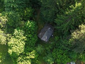 Prodej chaty, Borovnice, 75 m2