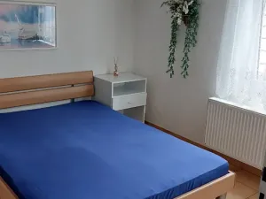Pronájem rodinného domu, Věž, 120 m2