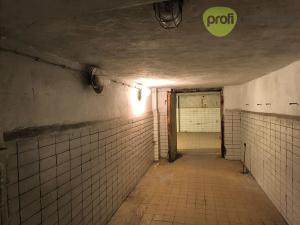 Pronájem skladu, Ostrava, Cihelní, 90 m2