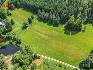 Prodej pozemku pro bydlení, Červená Voda, 7993 m2