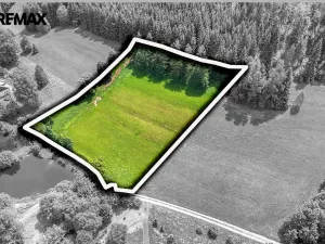 Prodej pozemku pro bydlení, Červená Voda, 7993 m2