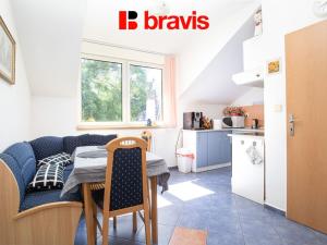 Pronájem bytu 1+1, Brno, Botanická, 55 m2
