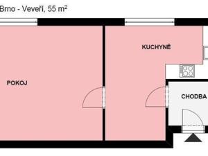 Pronájem bytu 1+1, Brno, Botanická, 55 m2
